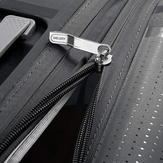 DELSEY PARIS Clavel Hardside Expandable Luggage with Spinner Wheels, Black, Checked-Large 30 Inch