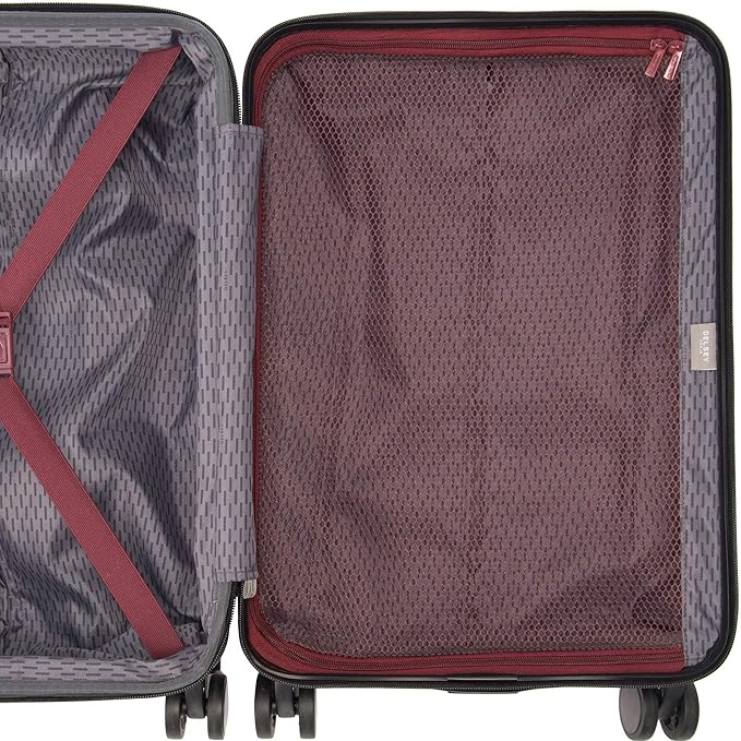 Delsey Paris Alexis Durable Hardside Luggage, Expandable Lightweight 4-Wheel Spinner, Easy Grip Telescoping Handle for Smooth Mobility, TSA-Lock Incorporated, Men and Women, Burgundy, Check-In 29-Inch