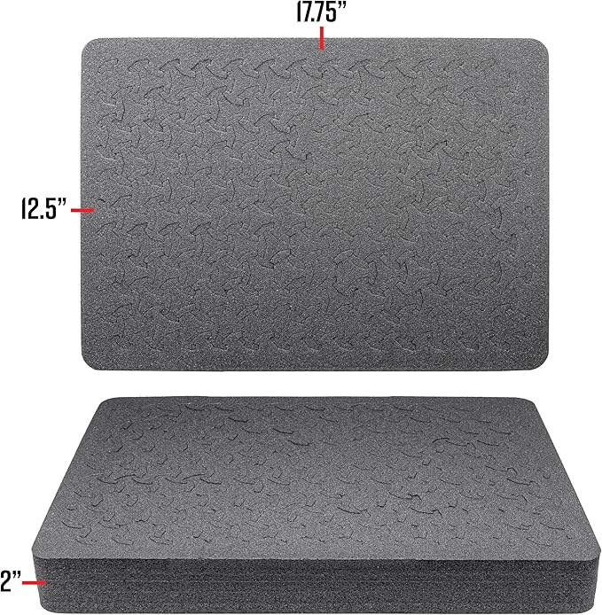 Eylar 20" Large Hard Case Equipped With Ragar Reconfigurable & Reusable XP Crosslinked Foam Insert, Waterproof, Shockproof For Equipment, Drones And Cameras (2 Ragar Layers) (Black)